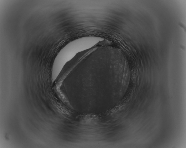 X0000091730916200709211017