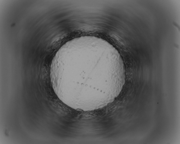 X0000091730917200709211017