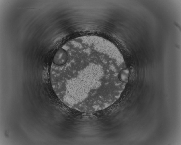 X0000091730918200709211017