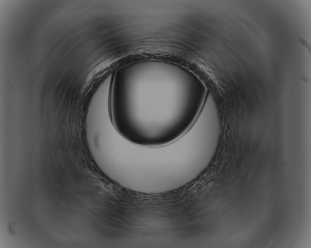 X0000091730920200709211017