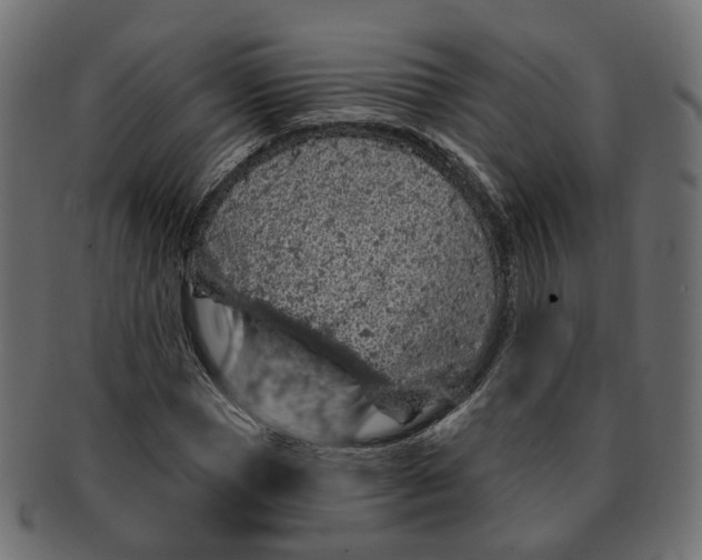 X0000091730921200709211017