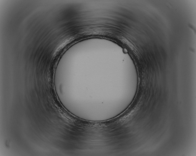 X0000091730922200709211017