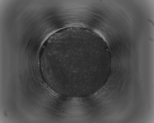 X0000091730923200709211017