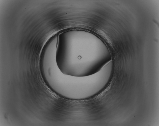 X0000091730924200709211017