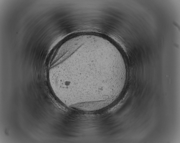 X0000091730925200709211017