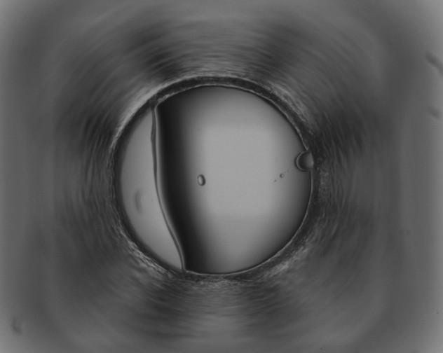 X0000091730926200709211017