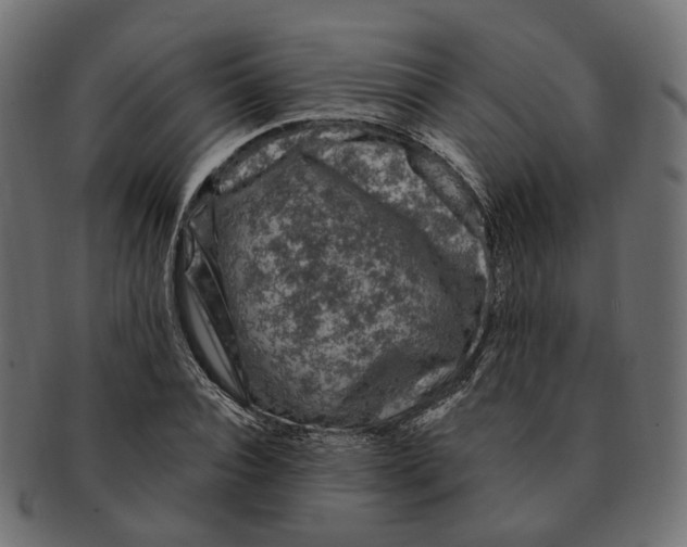 X0000091730928200709211017