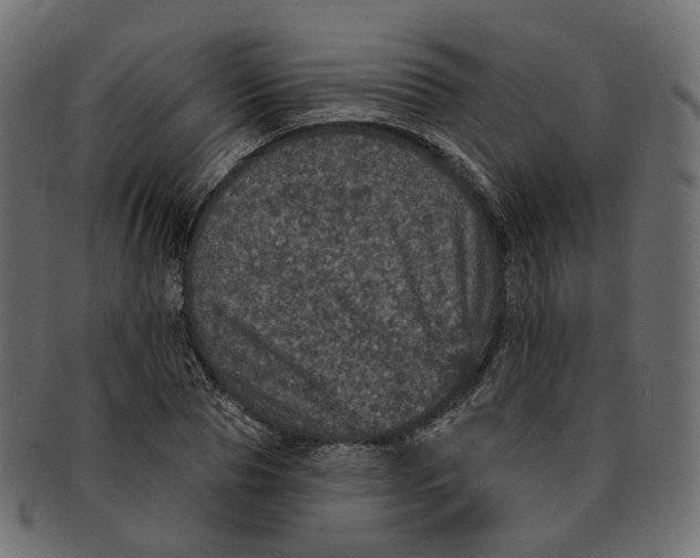 X0000091730929200709211017