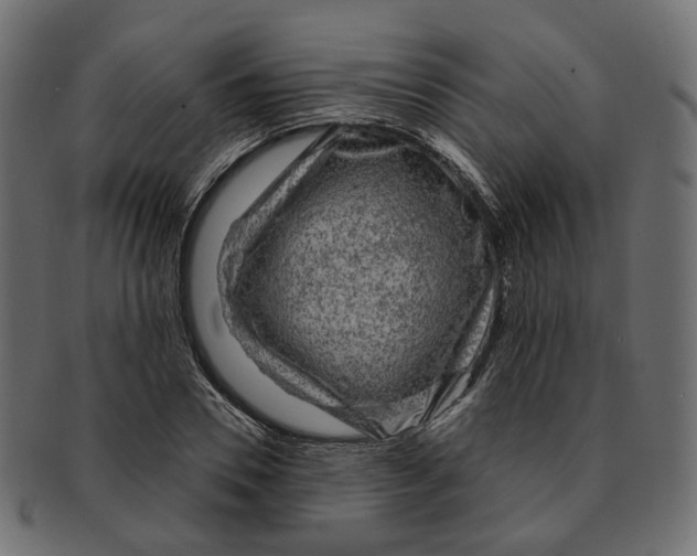 X0000091730930200709211017