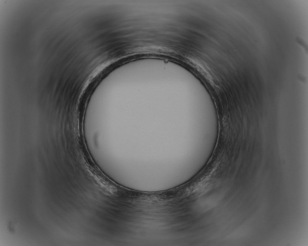 X0000091730931200709211017