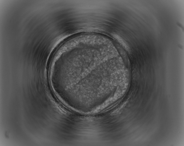 X0000091730932200709211017