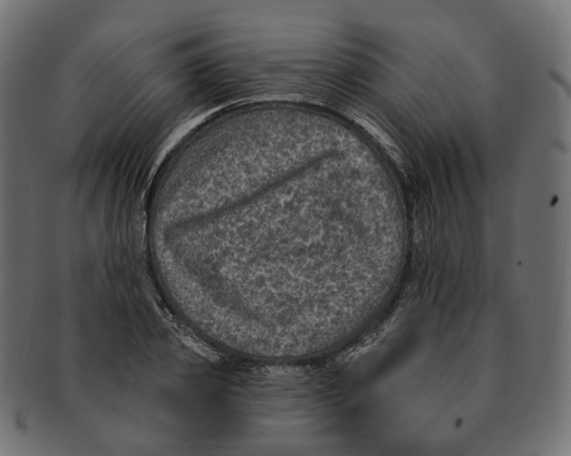 X0000091730933200709211017