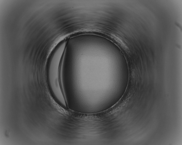 X0000091730934200709211017