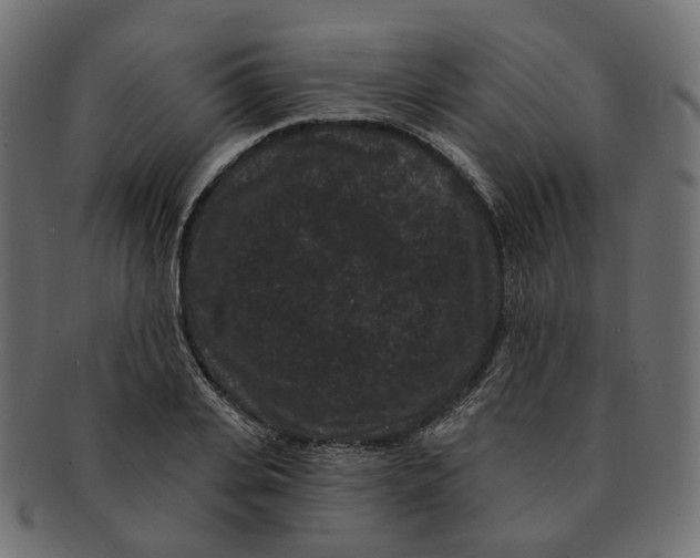 X0000091730935200709211017