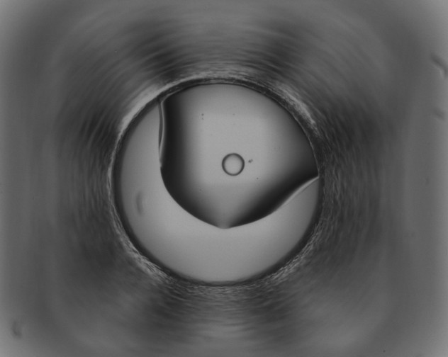 X0000091730936200709211017