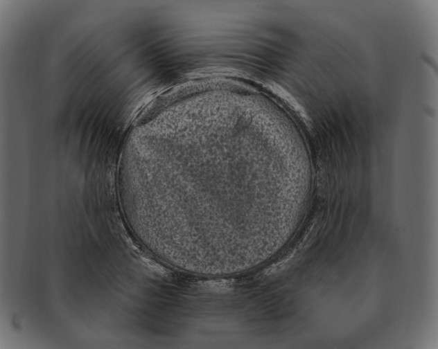 X0000091730937200709211017