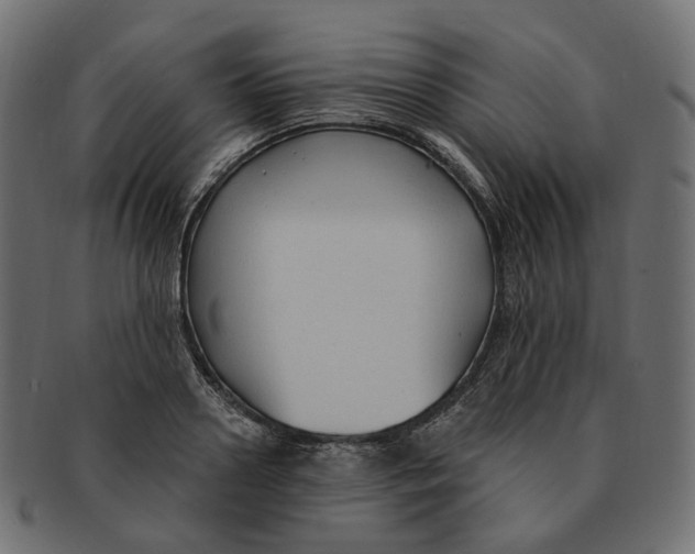 X0000091730938200709211017