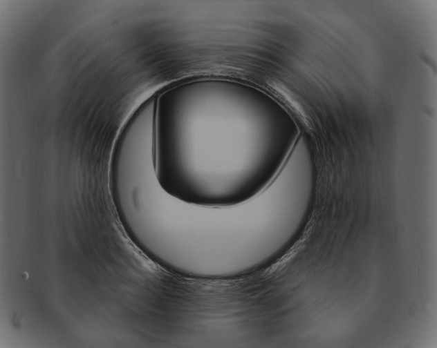 X0000091730940200709211017