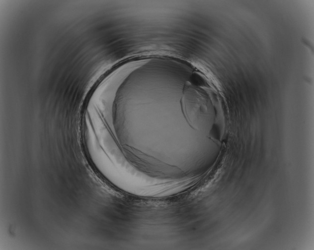 X0000091730941200709211017