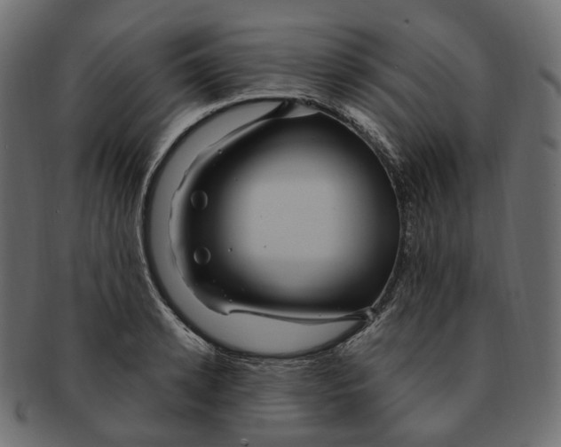 X0000091730942200709211017