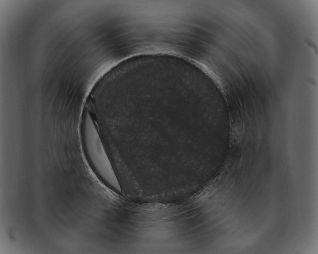 X0000091730943200709211017