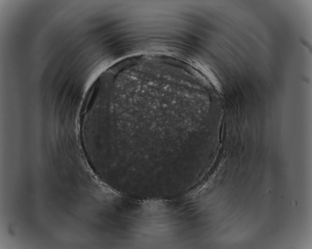 X0000091730944200709211017