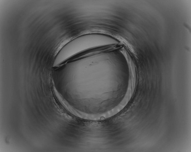 X0000091730945200709211017