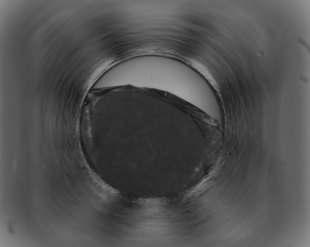 X0000091730946200709211017