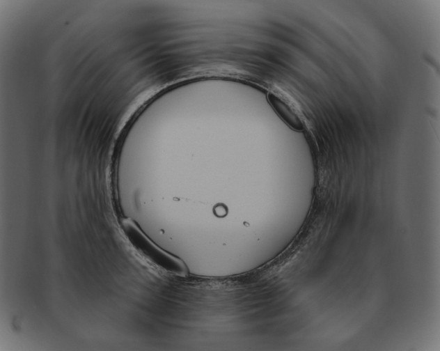 X0000091730947200709211017