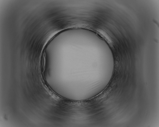 X0000091730948200709211017