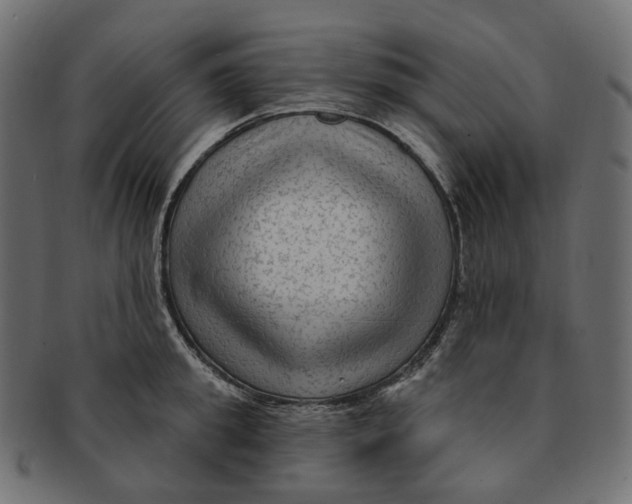 X0000091730949200709211017