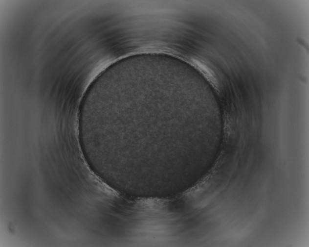 X0000091730950200709211017