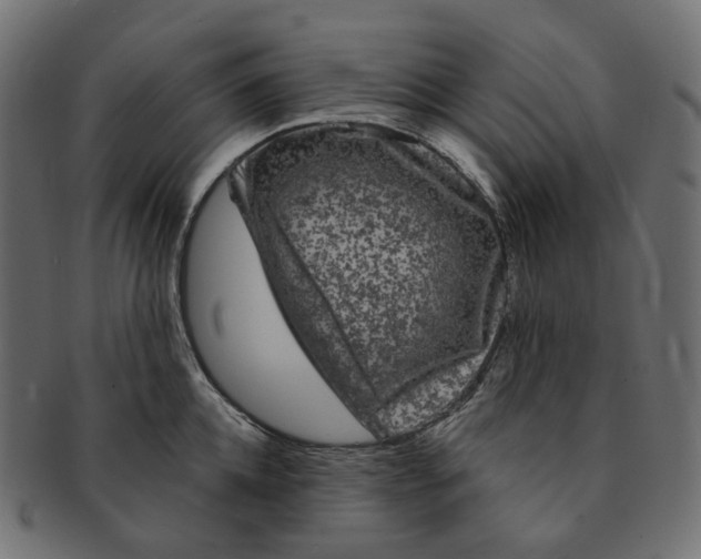 X0000091730952200709211017