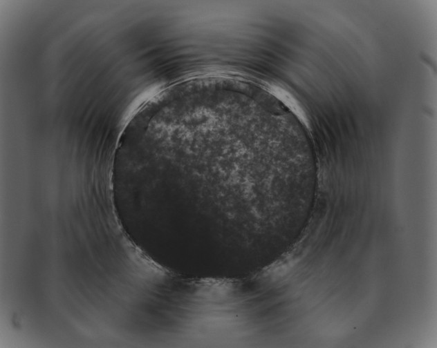 X0000091730954200709211017