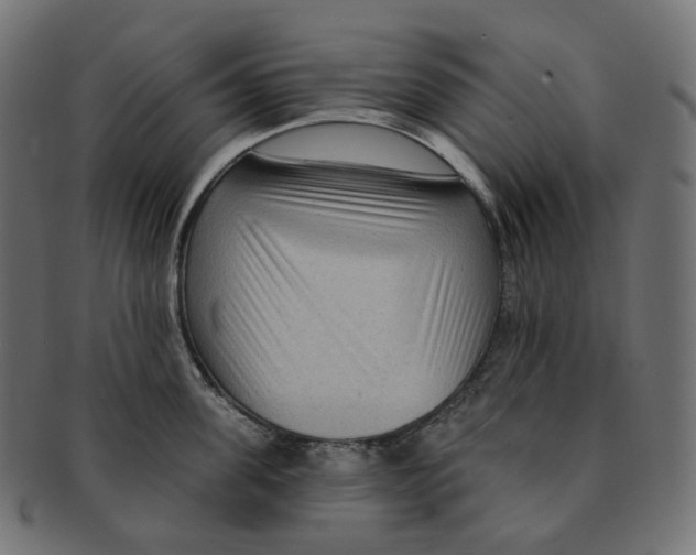 X0000091730955200709211017