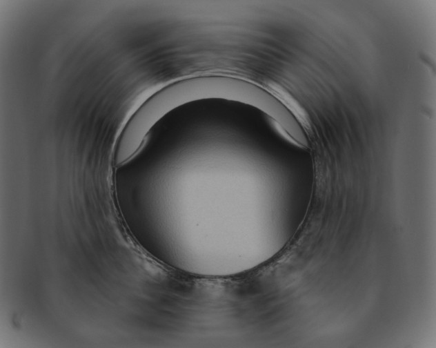 X0000091730956200709211017