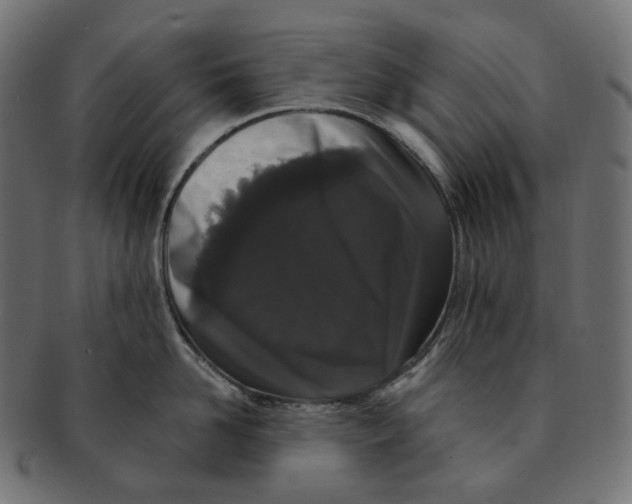 X0000091730958200709211017