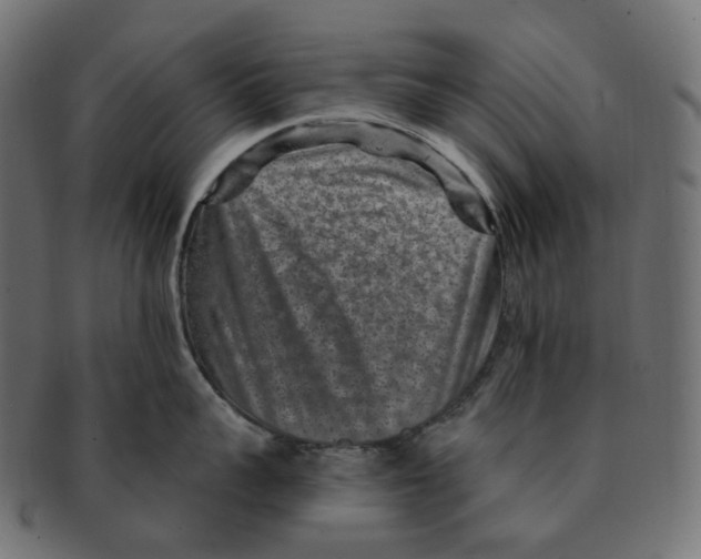 X0000091730959200709211017