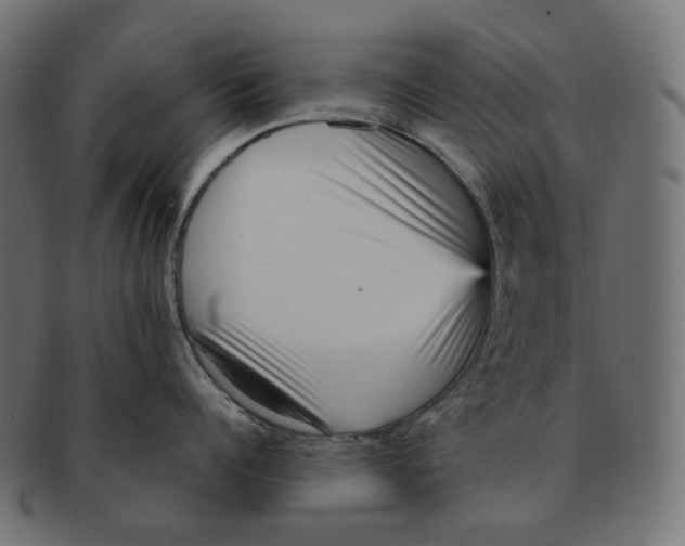 X0000091730960200709211017