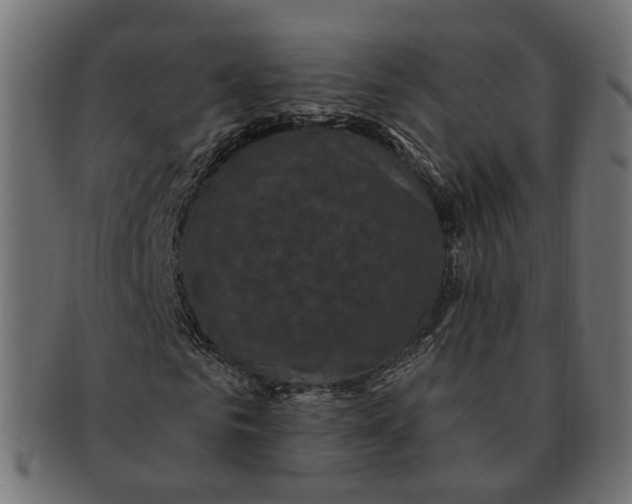 X0000091730961200709211017