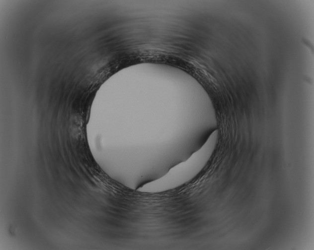 X0000091730964200709211017