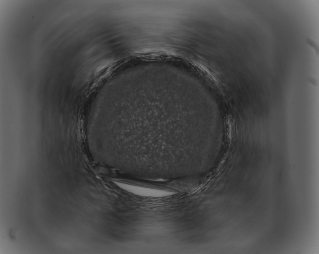 X0000091730965200709211017