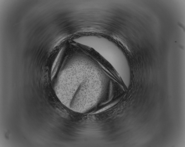 X0000091730968200709211017