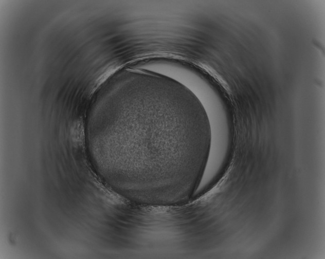 X0000091730969200709211017