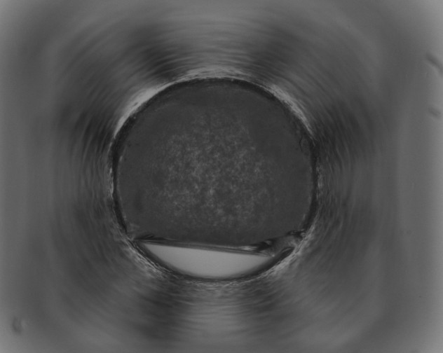 X0000091730973200709211017