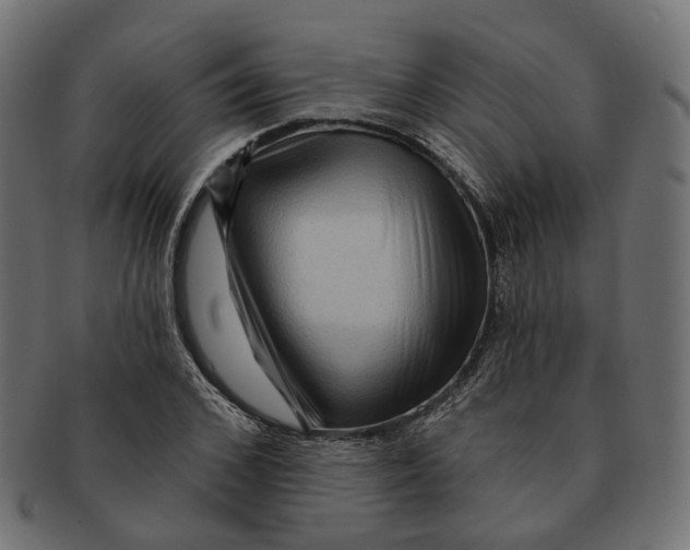 X0000091730976200709211017