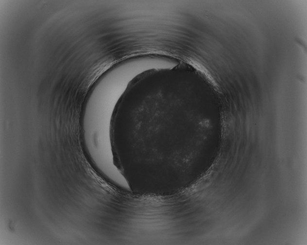 X0000091730977200709211017