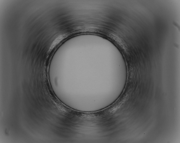 X0000091730978200709211017