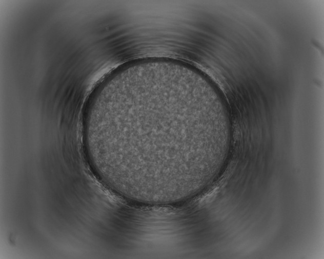 X0000091730979200709211017