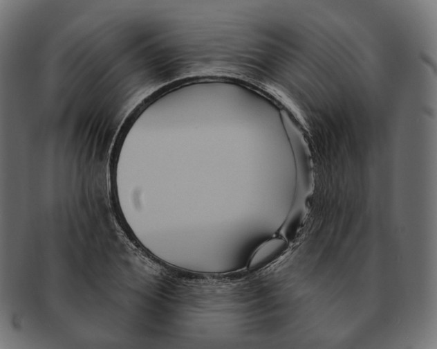 X0000091730980200709211017